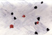 Click on this image to enlarge.