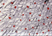 Click on this image to enlarge.