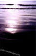 Click on this image to enlarge.